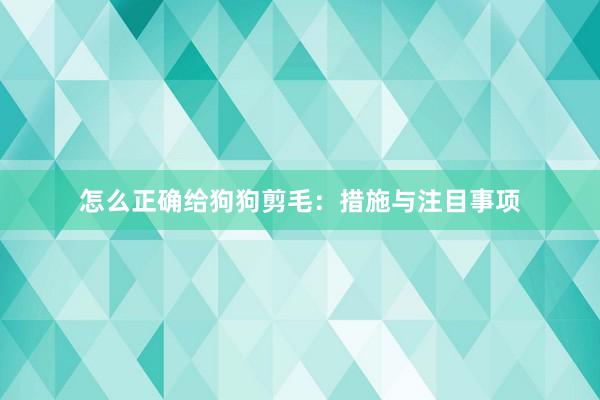 怎么正确给狗狗剪毛：措施与注目事项